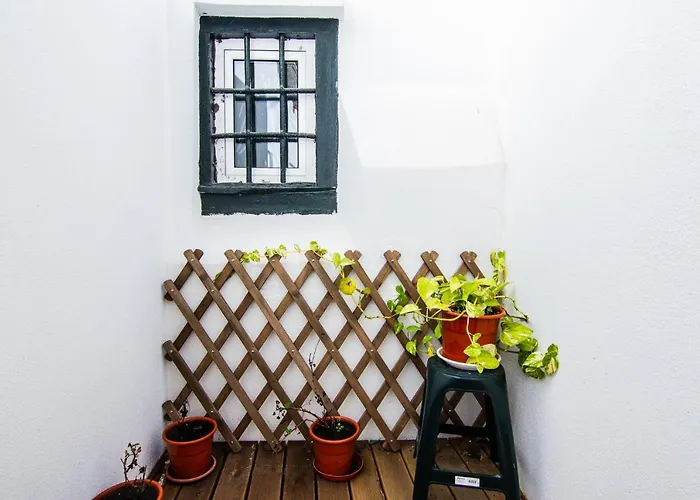 New Apartment Bairro Alto